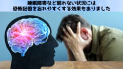 睡眠障害は恐怖記憶を忘れやすくする効果もあったの画像 1/4