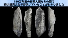 【衝撃】150万年前に骨の道具文化が芽吹いていた