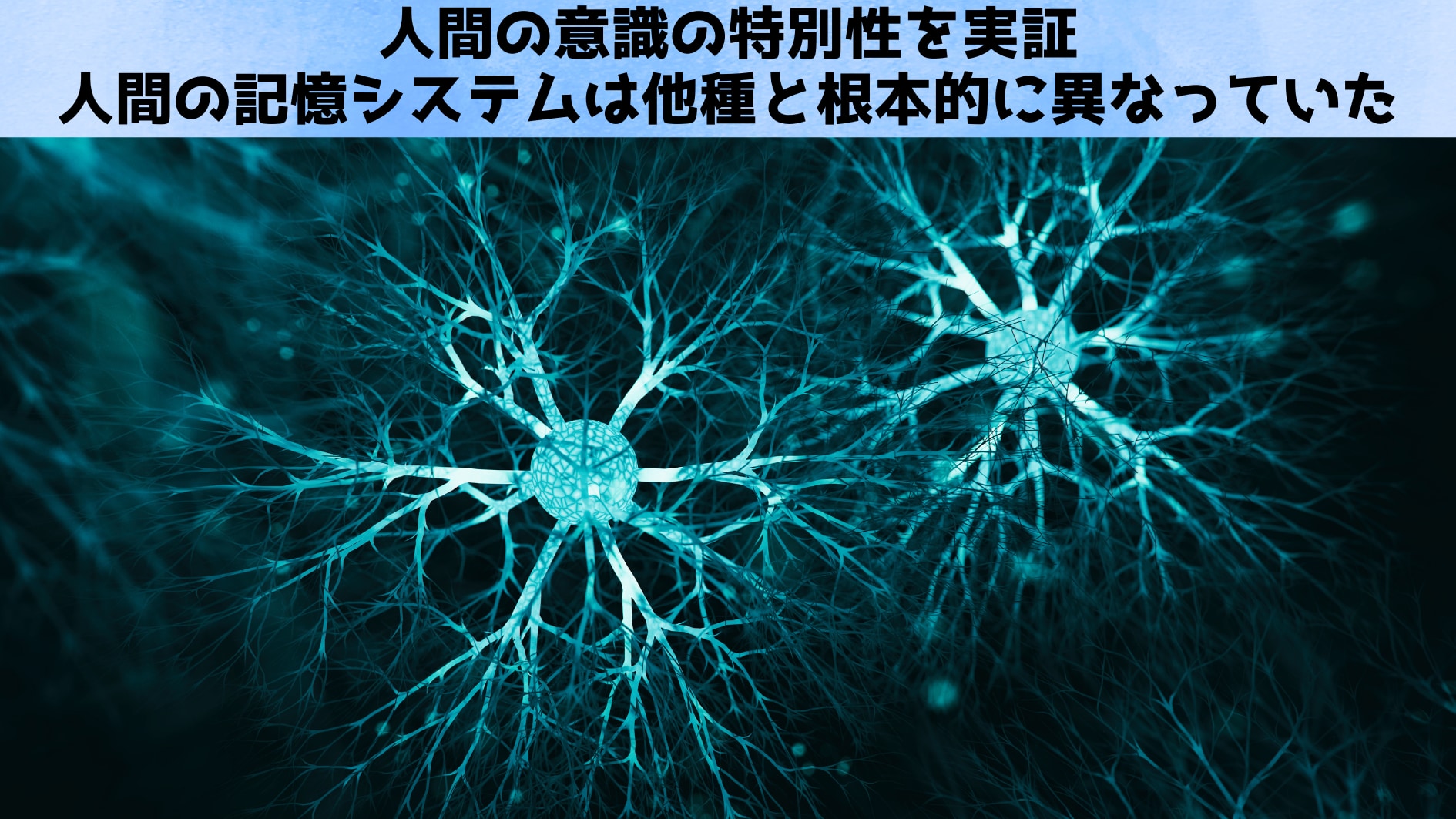 人間の意識の特別性を実証：人間の記憶システムは他種と根本的に異なっていた