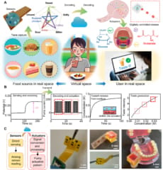 「飯テロ」されても味わえる!?味がネット配信できる新デバイスの画像 3/4