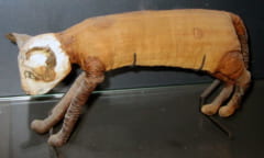 ネコの家畜化は古代エジプトの「生贄の儀式」によって誕生した可能性の画像 3/3