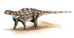【世界初】アンキロサウルス科の足跡化石をカナダでついに発見！の画像 2/5