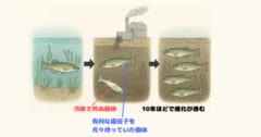 進化はどのくらいの速度で起きるのか？の画像 2/2