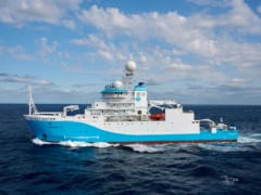 西オーストラリア沖の深海1500mで「新種のタコ」を発見！の画像 3/3
