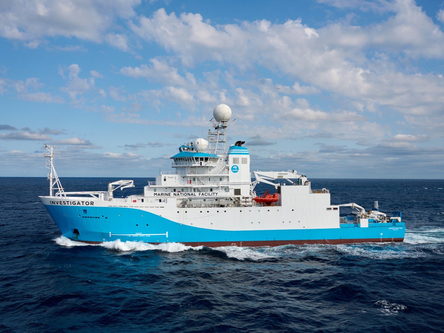 西オーストラリア沖の深海1500mで「新種のタコ」を発見!の画像 3/3