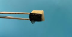 【電気不要】空気から飲料水を生成するスポンジ素材を開発【太陽光をあてるだけ】の画像 1/5