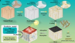 【電気不要】空気から飲料水を生成するスポンジ素材を開発【太陽光をあてるだけ】の画像 2/5