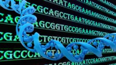 4文字の置き換えでマウス脳が巨大化