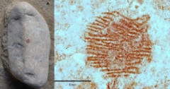4万3000年前の「世界最古の指紋」を発見！残したのは現生人類ではなかったの画像 1/3