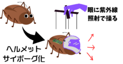 昆虫にヘルメットを被せてサイボーグ化！”眼に光を照射して操る”新技術が登場【閲覧注意】の画像 1/4