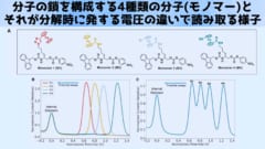 分子でコンピュータにログインする技術を開発の画像 3/6