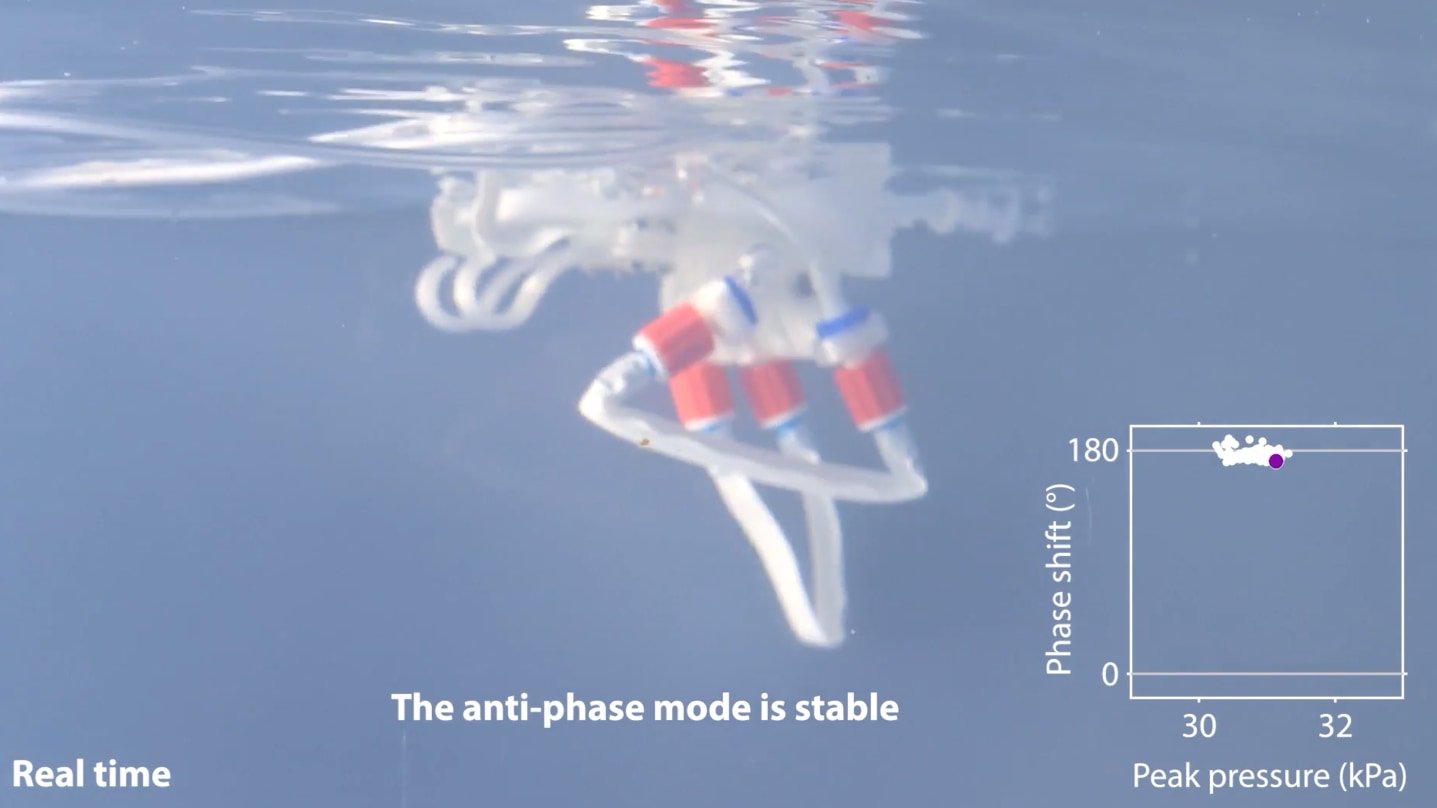 【なぜ脳が無くても賢い?】チューブと空気で歩く新ロボットは”足で考える”【しかも高速】の画像 7/7