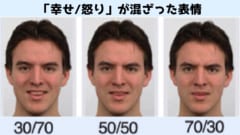 暴力犯の脳では「恐怖の認知症」ではなく「敵意の誤検出」が起きている