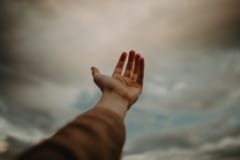 「もうすぐ雨が降る」と言う人がいるのはなぜか？嗅覚は「雨の香りの三重奏」を感じ取っていたの画像 4/4