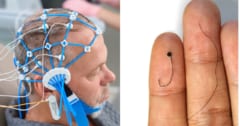 脳波検査の常識を覆す「髪の毛」みたいな極細電極が開発されるの画像 1/4