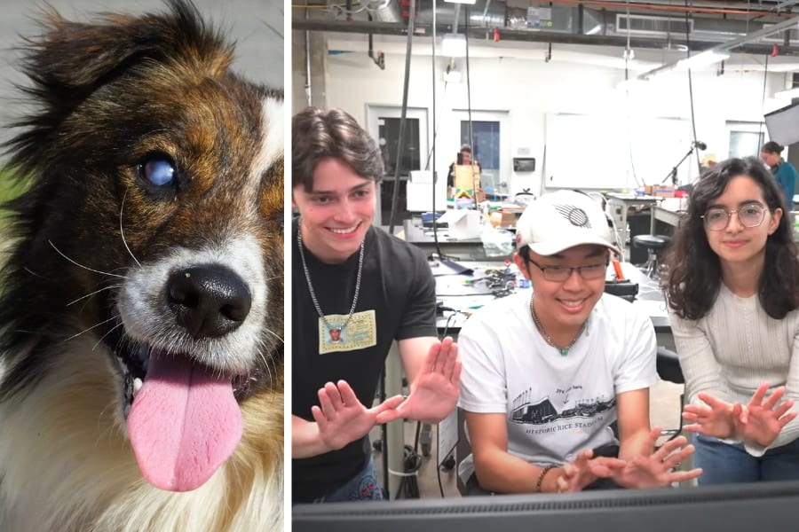 盲目の犬を助けたい！工学部の学生が「第二の目」を与えた方法とは？