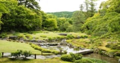 日本庭園を見るだけで心拍数が下がり「気分が改善する」と判明の画像 1/4