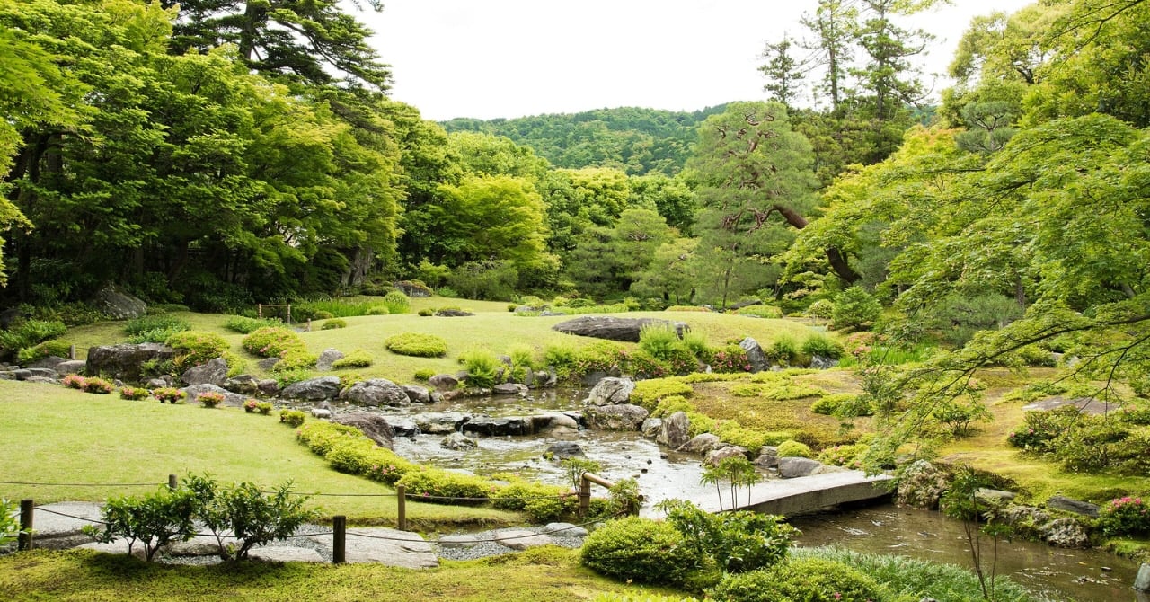 日本庭園を見るだけで心拍数が下がり「気分が改善する」と判明の画像 1/4
