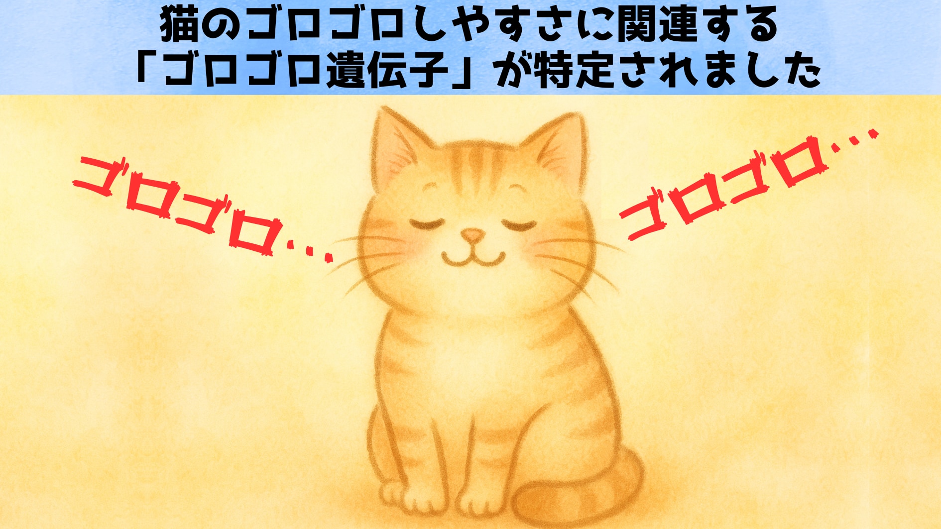 猫の「ゴロゴロ遺伝子」を発見