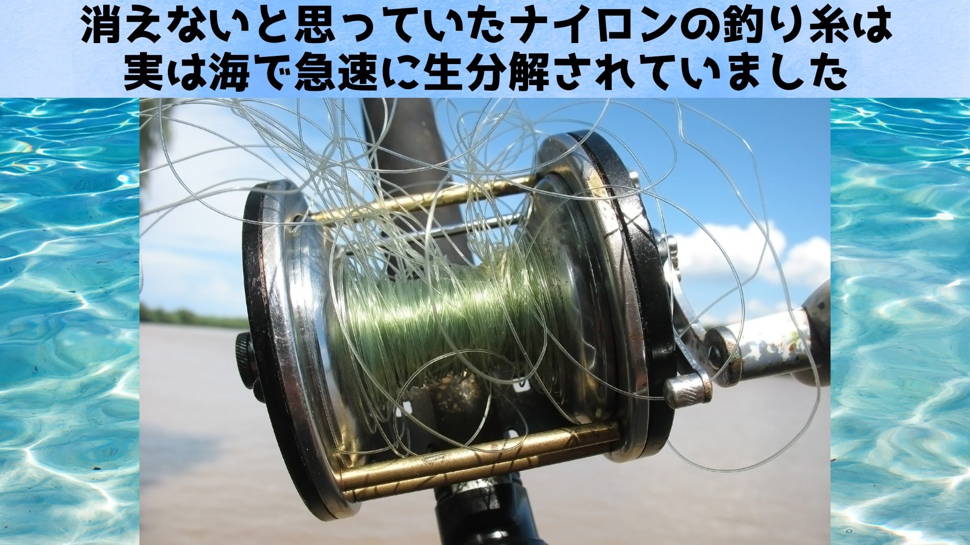 「ナイロンの釣り糸」が海で生分解することを発見:実は急速に溶けていた