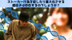 ストーカー遺伝子は存在するのか？の画像 1/5