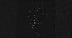 史上最小の銀河か？星が60個しかない謎の天体「UMa3/U1」とはの画像 1/3