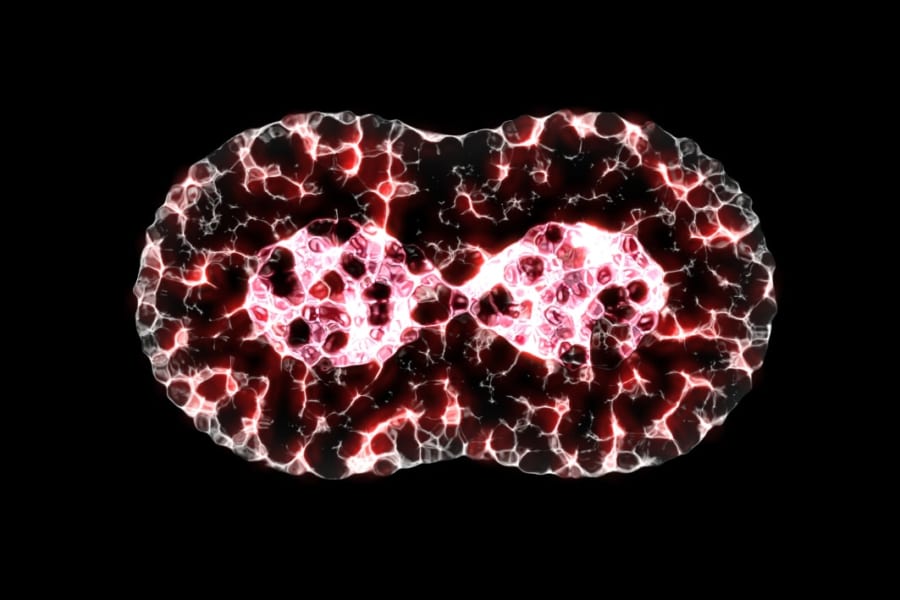 新しい「核分裂」を発見――超重元素の常識を崩壊させる予想外の分裂