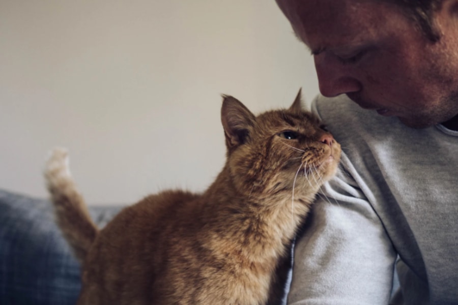 ネコは「飼い主」と「赤の他人」の匂いを嗅ぎ分けていた