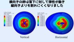 しなやかさこそ真の強さ
