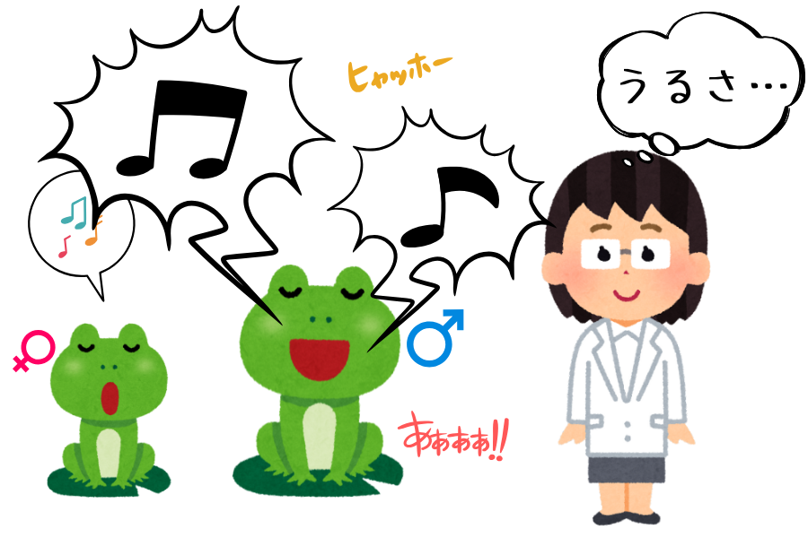 なぜ科学者はメスのカエルの鳴き声をほとんど知らないのか【オスのせい】の画像 2/4
