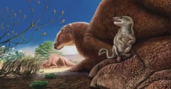 恐竜時代のモンゴルにいた「新属の哺乳類」を発見！の画像 1/5