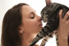 ネコは「飼い主」と「赤の他人」の匂いを嗅ぎ分けていたの画像 3/3
