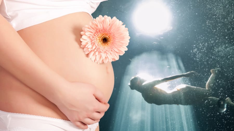 妊婦が潜ったから人類は進化した?