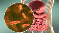 腸が脳を操る説の次は“脳が腸を操る”番だ