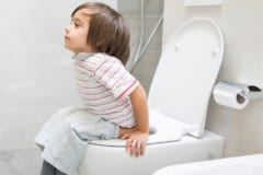 トイレでの”ある習慣”が痔のリスクを46%も高めると判明の画像 4/4
