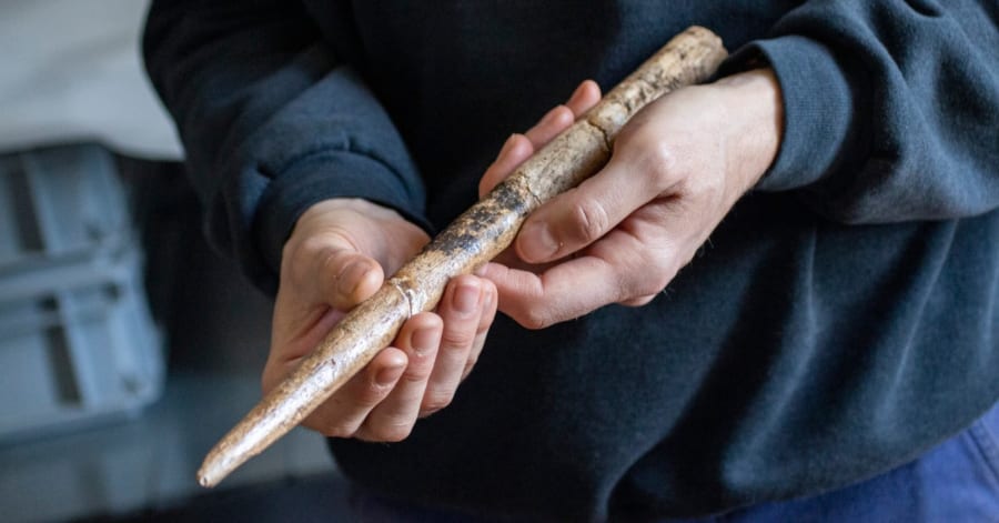 クジラの骨」で作った2万年前の武器を発見！鯨漁が発明される以前の