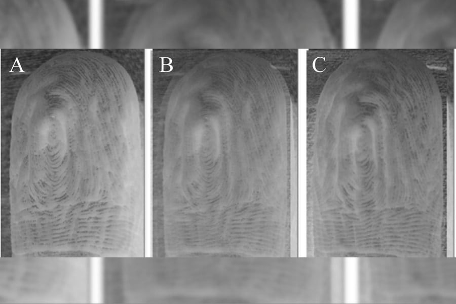 指のシワシワは毎回「同じパターンになる」ことが明らかにの画像 2/3