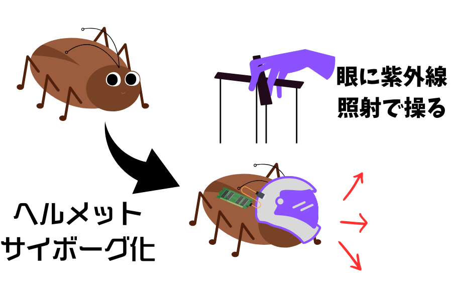 昆虫にヘルメットを被せてサイボーグ化！”眼に光を照射して操る”新技術が登場【閲覧注意】