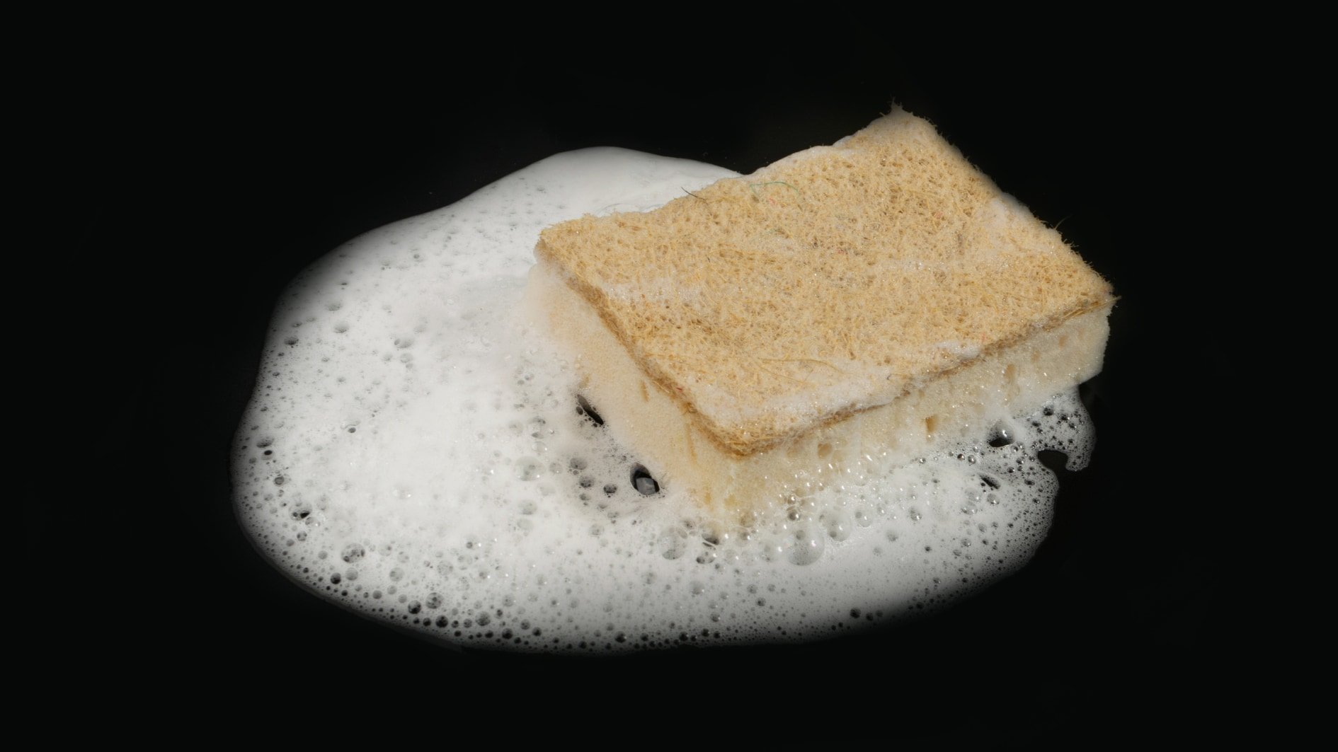 「木」と「トウモロコシ」で油汚れを落とせる洗剤を作ることに成功!の画像 2/4