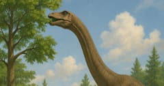 首長恐竜は「植物を噛まずに丸呑み」していた！史上初の腸内化石を発見の画像 1/3