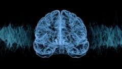 なぜ睡眠不足後は「寝だめ」をするのか？脳内にあった驚きの仕組み