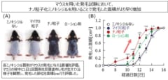 ナノ化「ミノキシジル」で効率的に浸透！発毛効果を早める！の画像 5/5