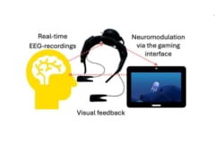 脳トレゲームで神経痛の大幅な軽減に成功【オピオイド鎮痛薬レベル】の画像 3/4