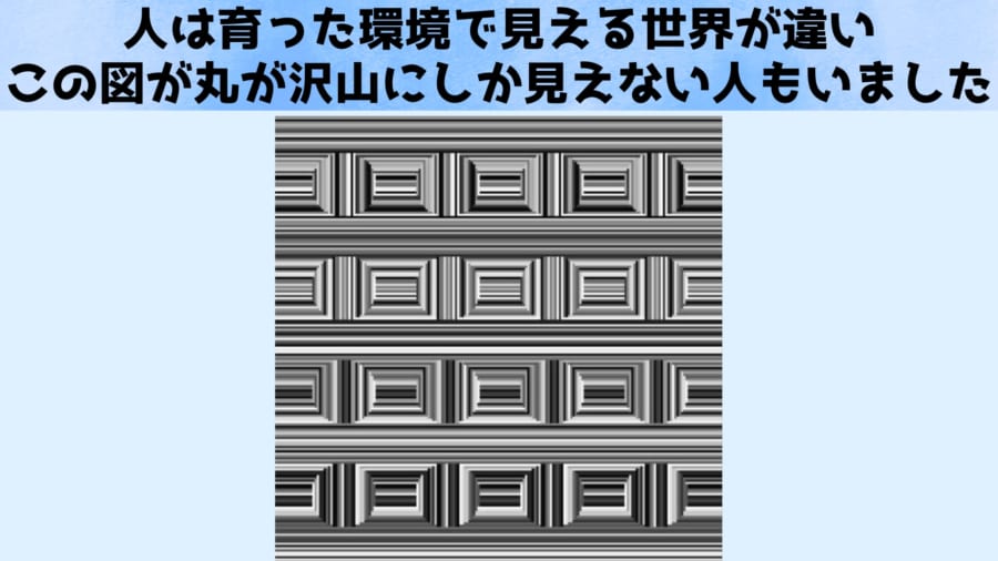 謎の世界　視覚の不思議 育った環境で「見える世界」が違う：この図に長方形でなく丸しか