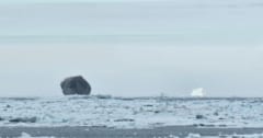 カナダで目撃された「漆黒の氷山」が話題に！なぜ黒色に？の画像 1/3
