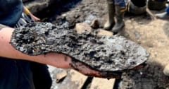 古代ローマに巨人がいた⁈ 「サイズ32センチの靴」を発見の画像 1/3