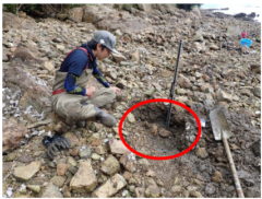 地中に棲む「美しい希少魚」を発見！オスが口の中で子育て？の画像 3/4
