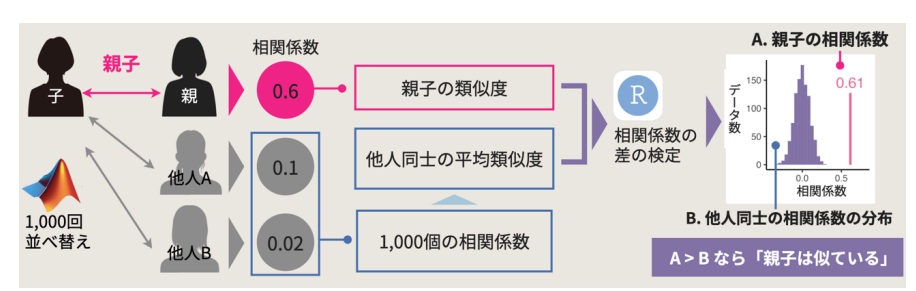 「脳のかたち」は親子で似る！父親似・母親似の領域をそれぞれ発見の画像 3/5