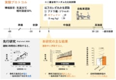 夏だけはカフェインを運動前ではなく”運動中”に摂取すべき理由の画像 4/5