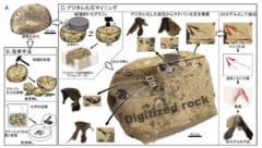 1億年前の岩石から「39種の新種イカ」を発見！の画像 3/3